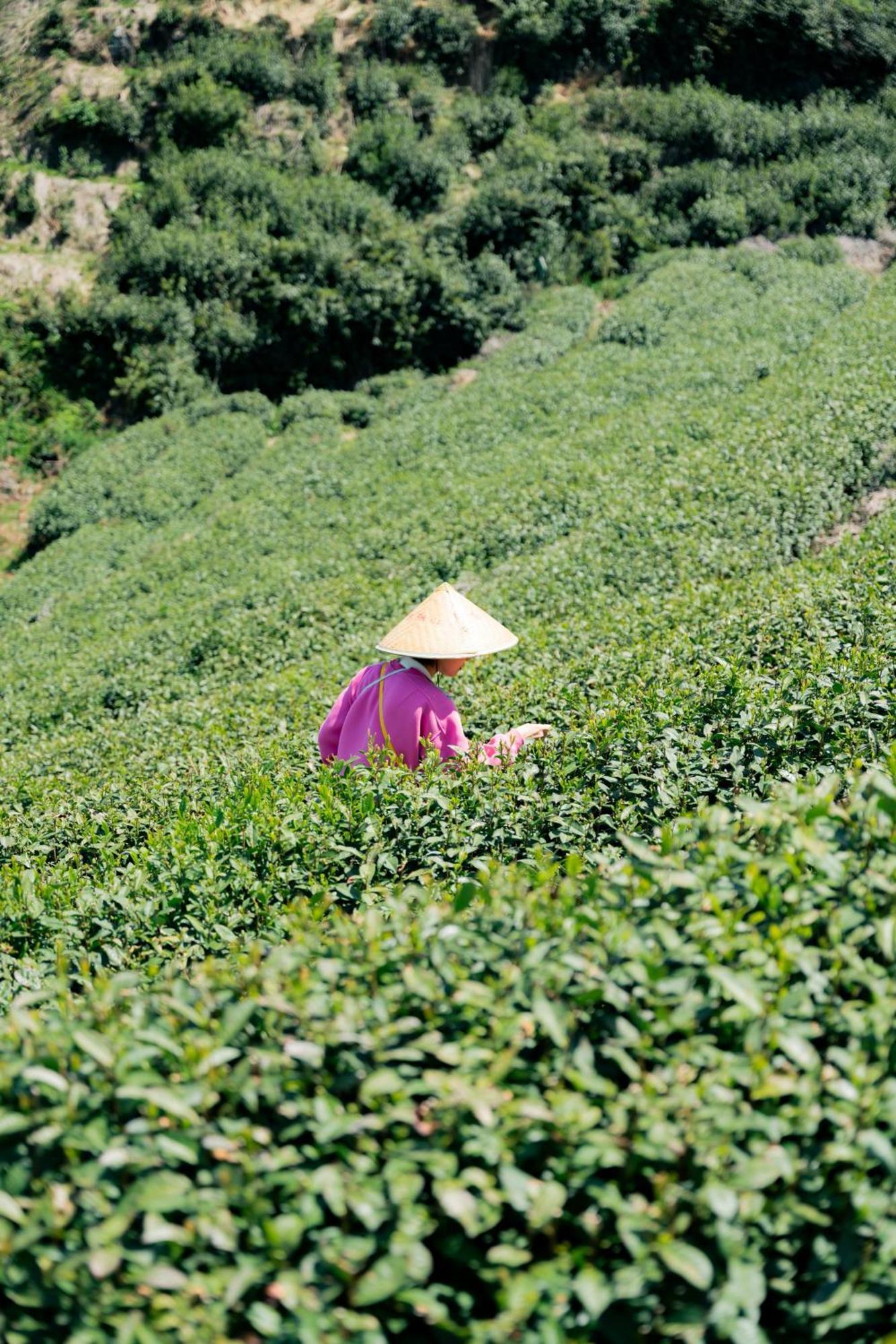 Ahn Lan Ninghai Ngoại thất bức ảnh