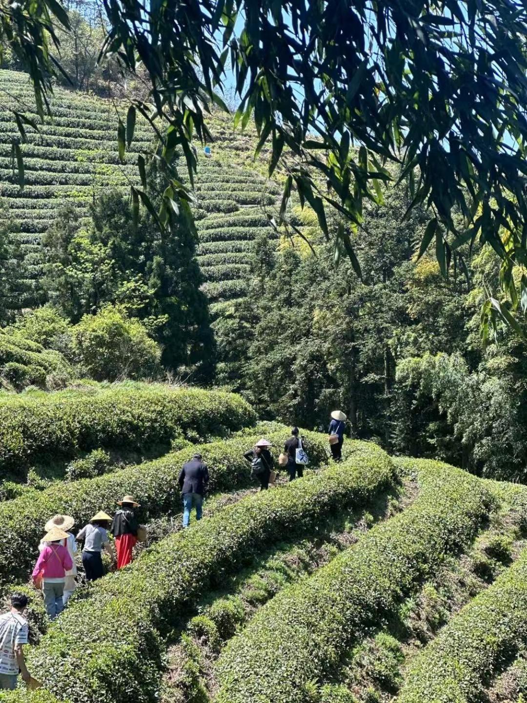Ahn Lan Ninghai Ngoại thất bức ảnh